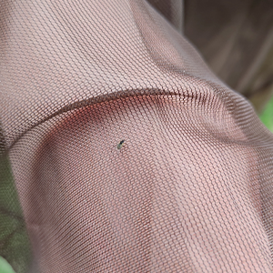 Mosquito Jacket Mosquito Mesh See-Through Super Light Keeps Cool UV Protection Mosquito Jacket Mosquito Mesh See-Through Super Light Keeps Cool UV Protection